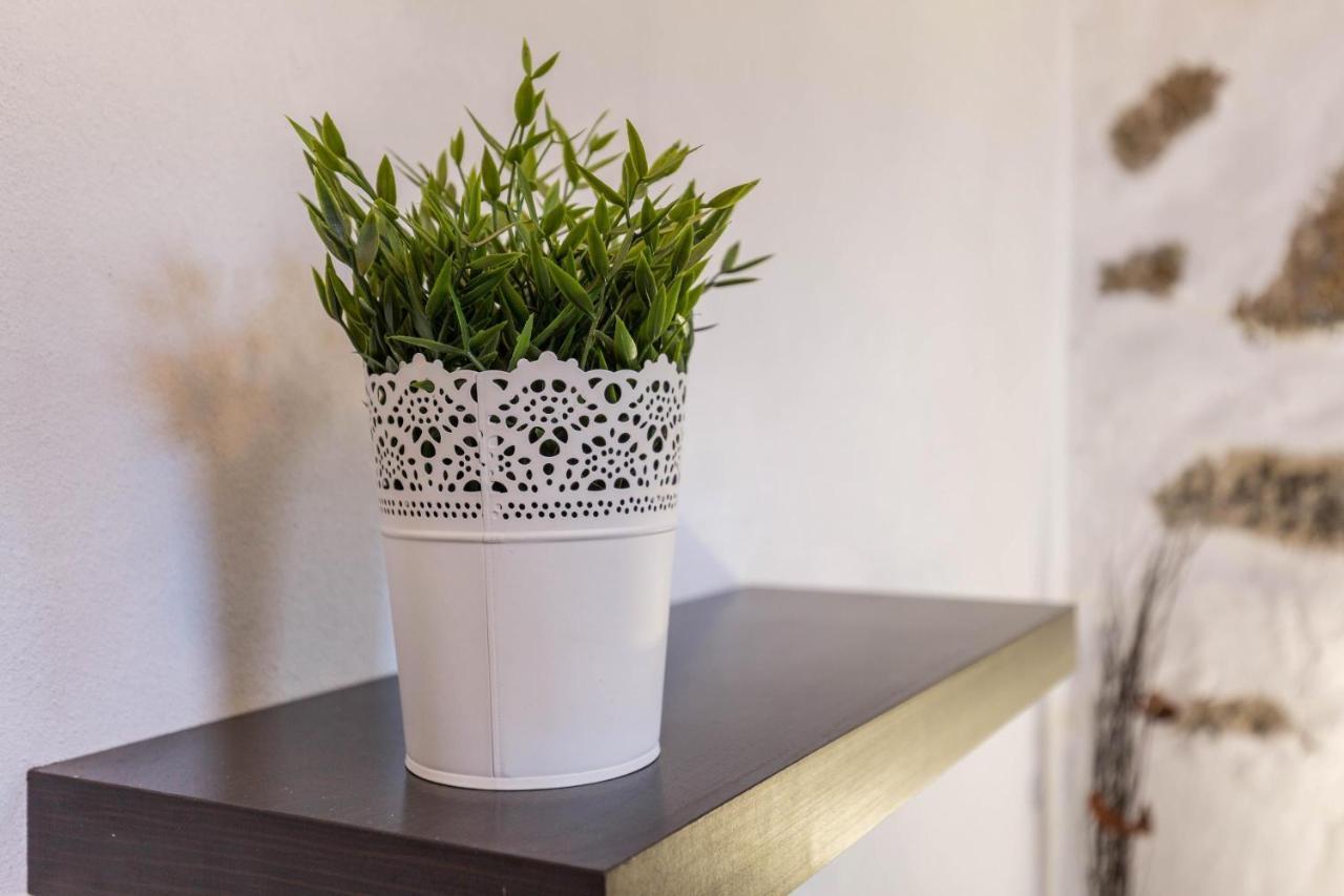 Eden Ecologico En Casa La Fuentita Apartment El Charco  Luaran gambar